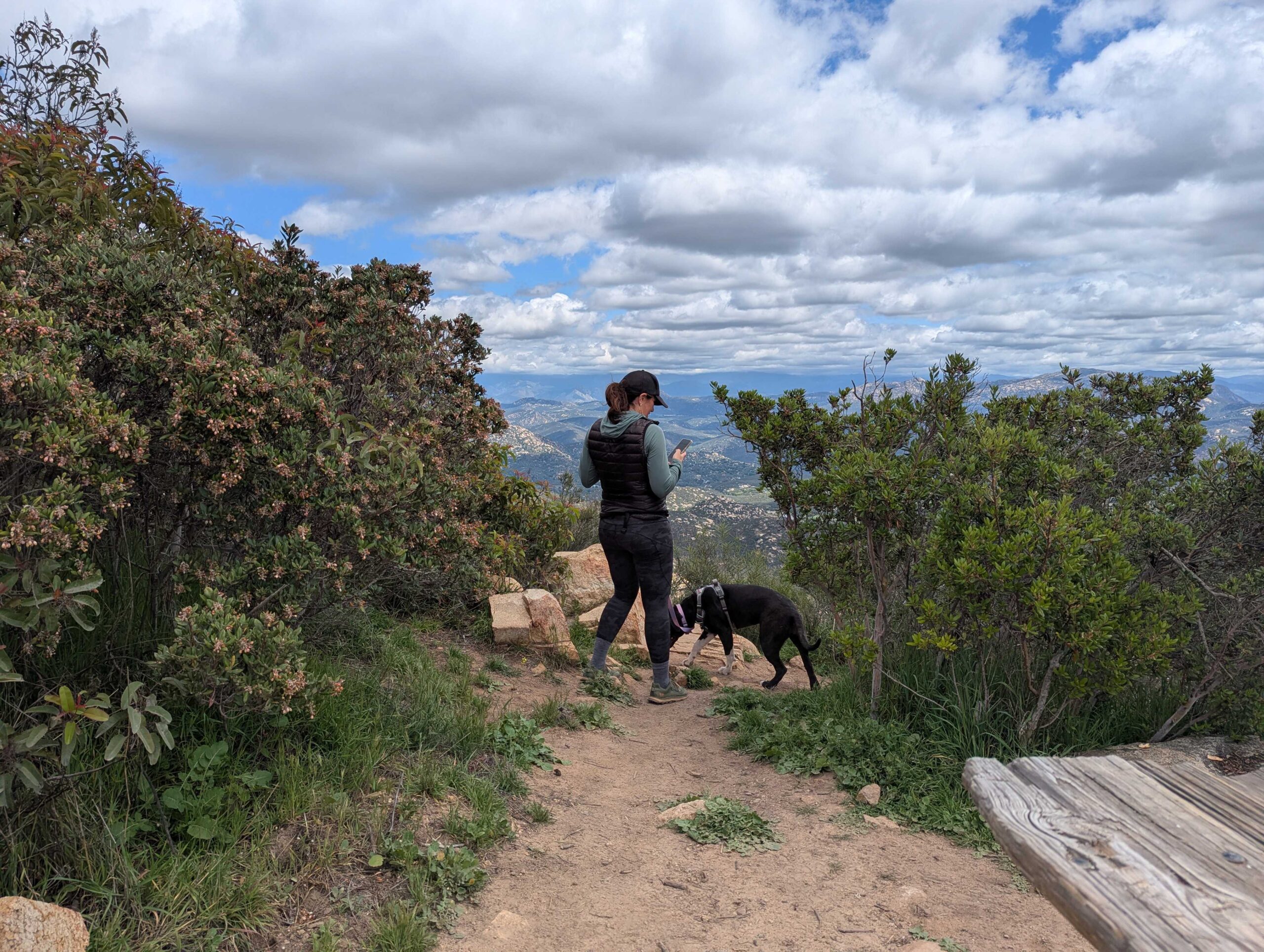 PXL 20250427 200712185